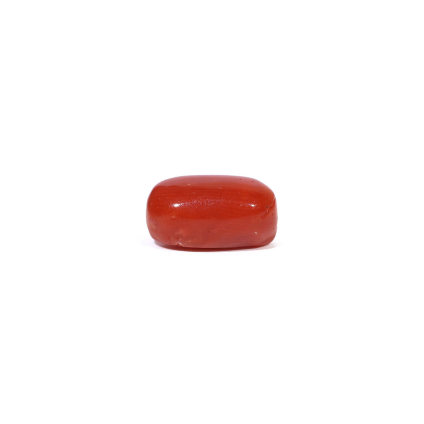 Red Coral - 3.6 Carat