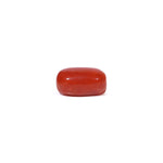 Red Coral - 3.6 Carat