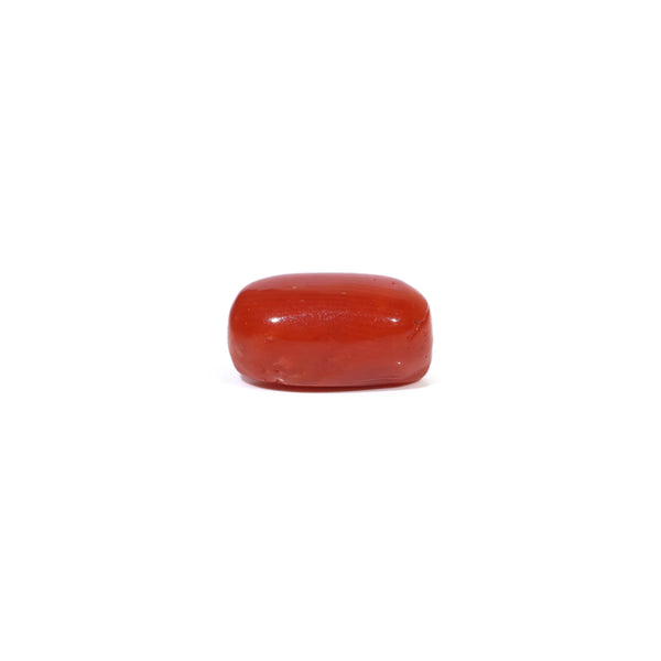 Red Coral - 3.6 Carat