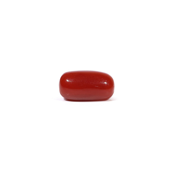 Red Coral - 3.65 Carat - Pramogh