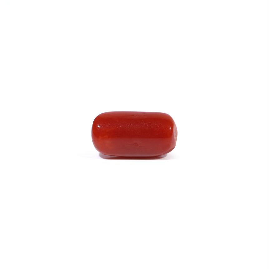 Red Coral - 3.65 Carat