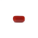 Red Coral - 3.65 Carat