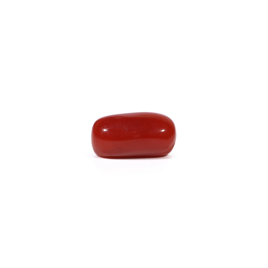 Red Coral - 3.65 Carat