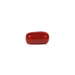 Red Coral - 3.65 Carat