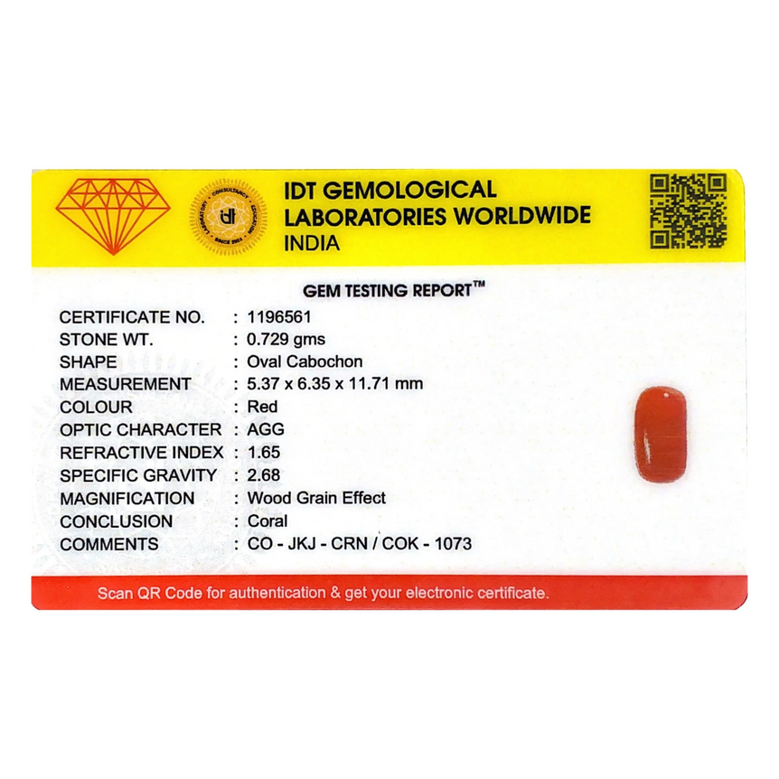 Red Coral - 3.65 Carat