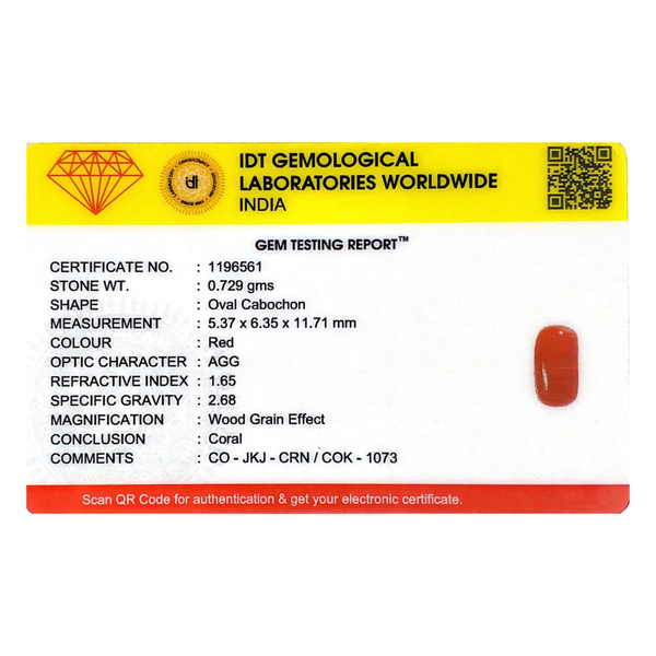 Red Coral - 3.65 Carat