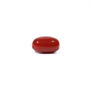 Red Coral - 3.09 Carat - Pramogh