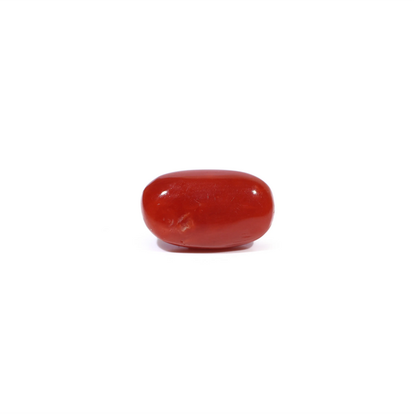 Red Coral - 3.09 Carat