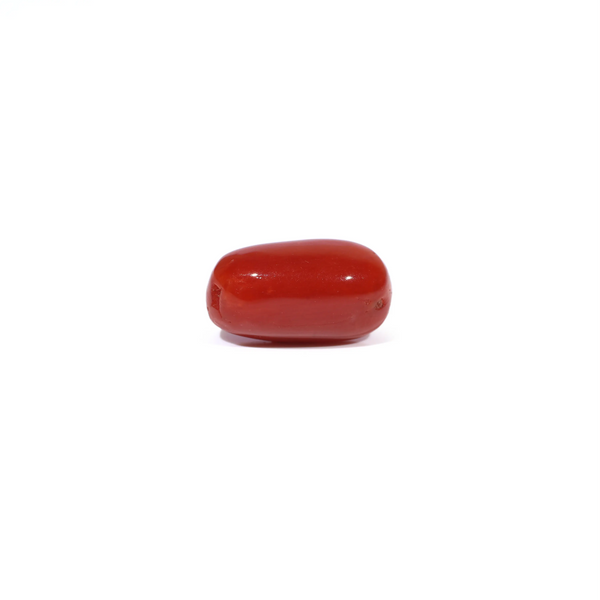 Red Coral - 3.09 Carat