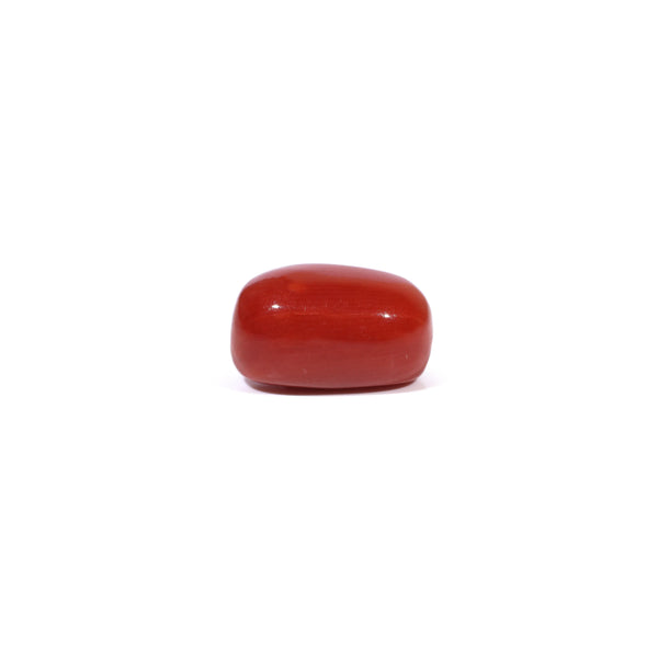 Red Coral - 3.77 Carat