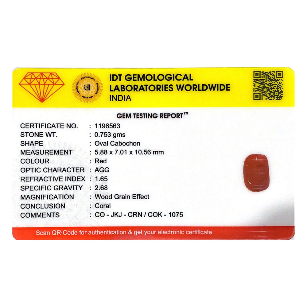 Red Coral - 3.77 Carat