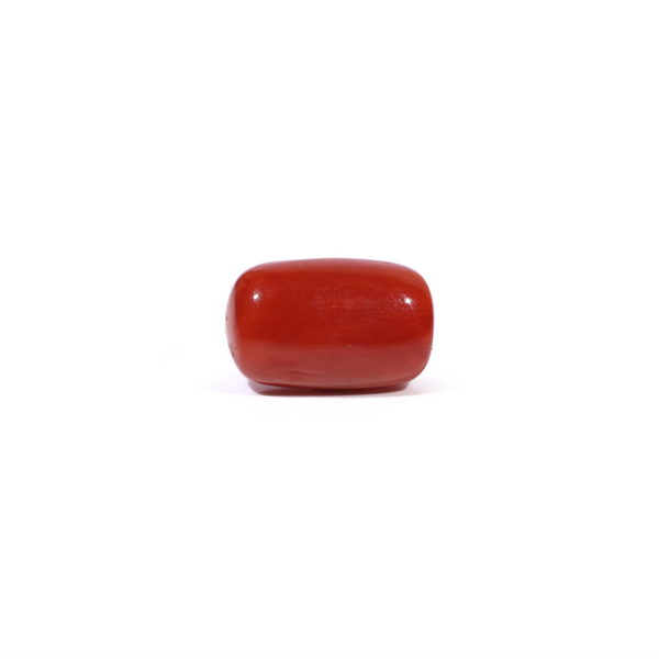 Red Coral - 3.6 Carat - Pramogh