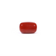 Red Coral - 3.6 Carat - Pramogh