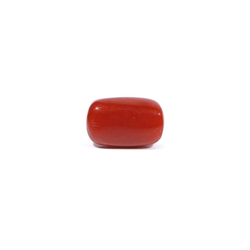 Red Coral - 3.6 Carat