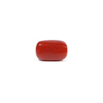 Red Coral - 3.6 Carat