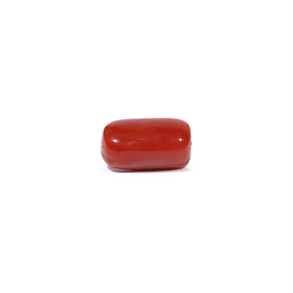Red Coral - 3.6 Carat