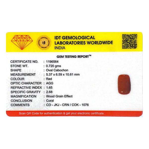 Red Coral - 3.6 Carat