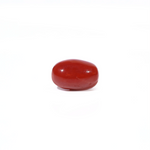 Red Coral - 3.2 Carat - Pramogh