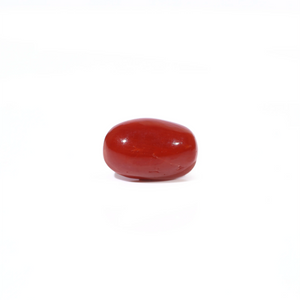 Red Coral - 3.2 Carat - Pramogh