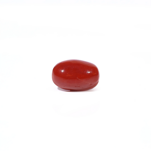 Red Coral - 3.2 Carat - Pramogh