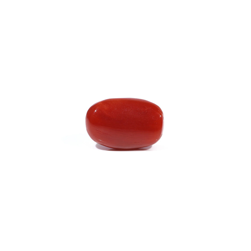 Red Coral - 3.2 Carat