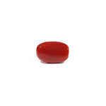 Red Coral - 3.2 Carat