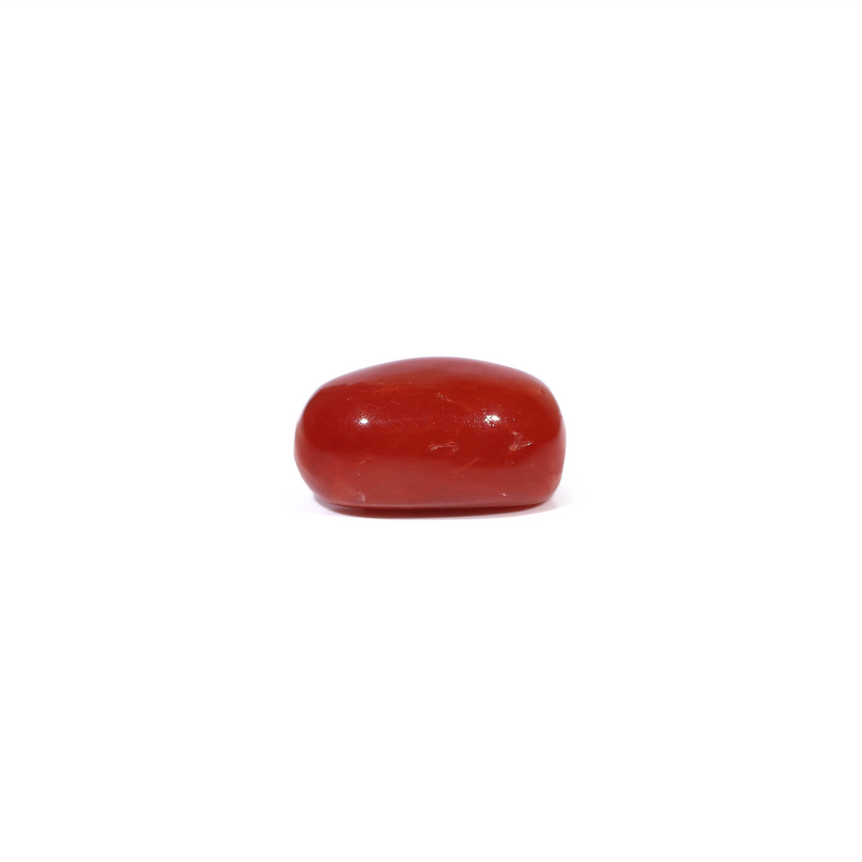 Red Coral - 3.2 Carat
