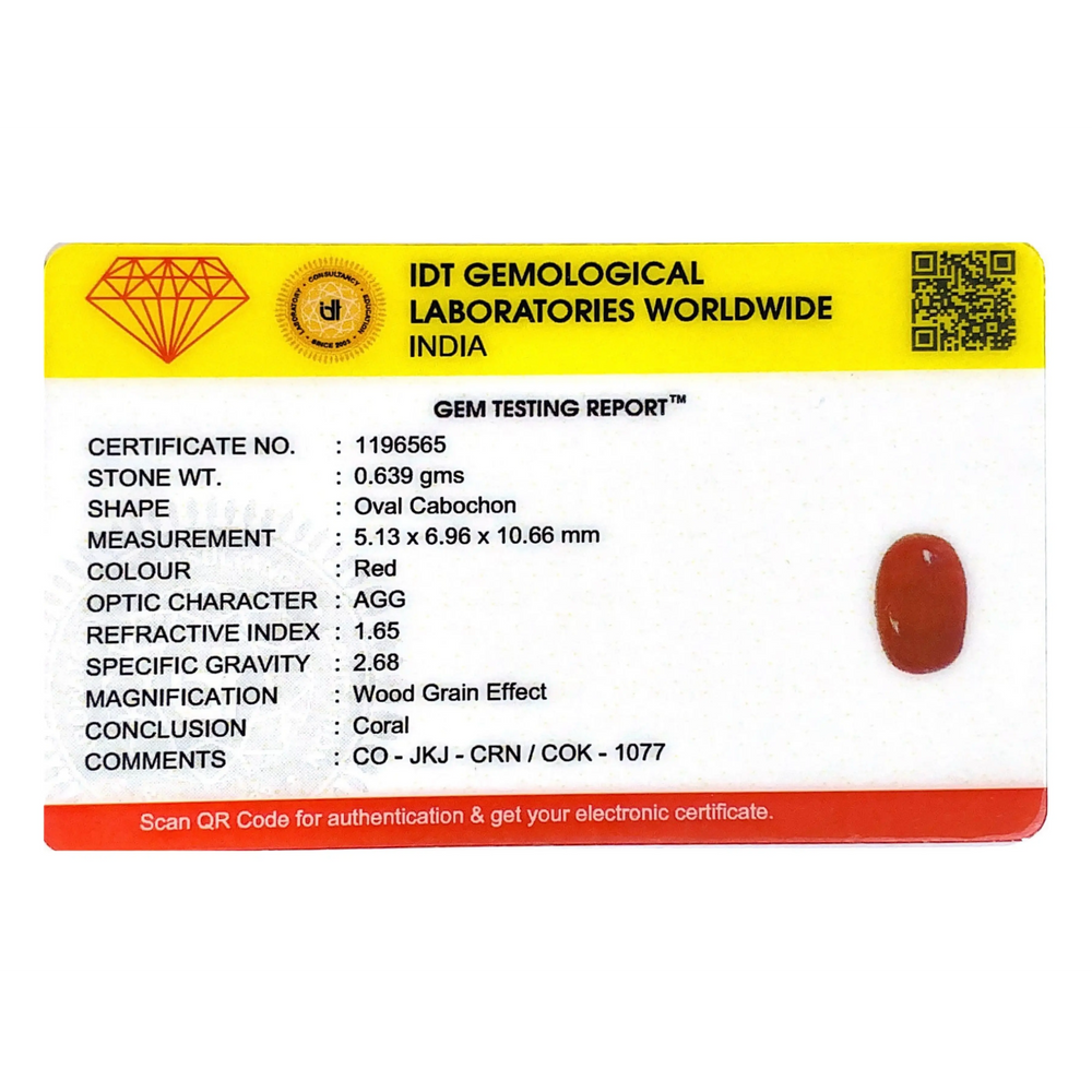 Red Coral - 3.2 Carat