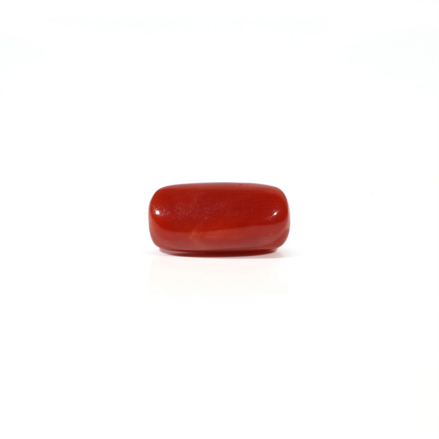 Red Coral - 3.73 Carat - Pramogh