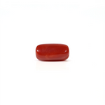 Red Coral - 3.73 Carat - Pramogh