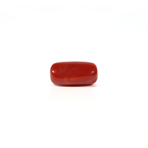 Red Coral - 3.73 Carat - Pramogh