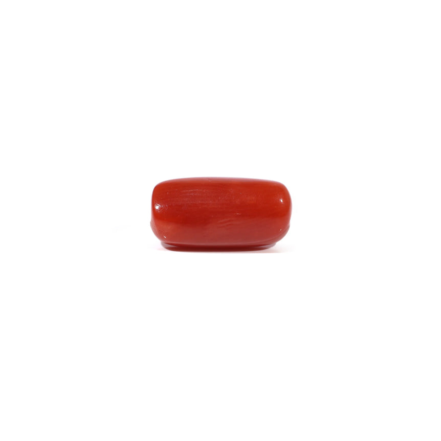 Red Coral - 3.73 Carat