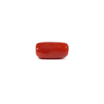Red Coral - 3.73 Carat