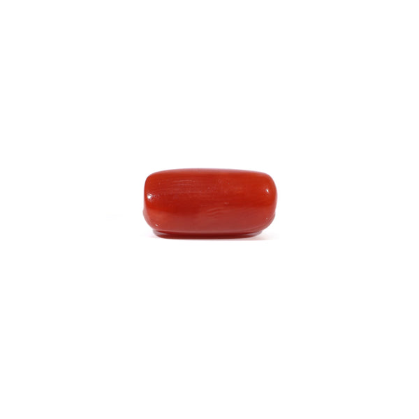 Red Coral - 3.73 Carat