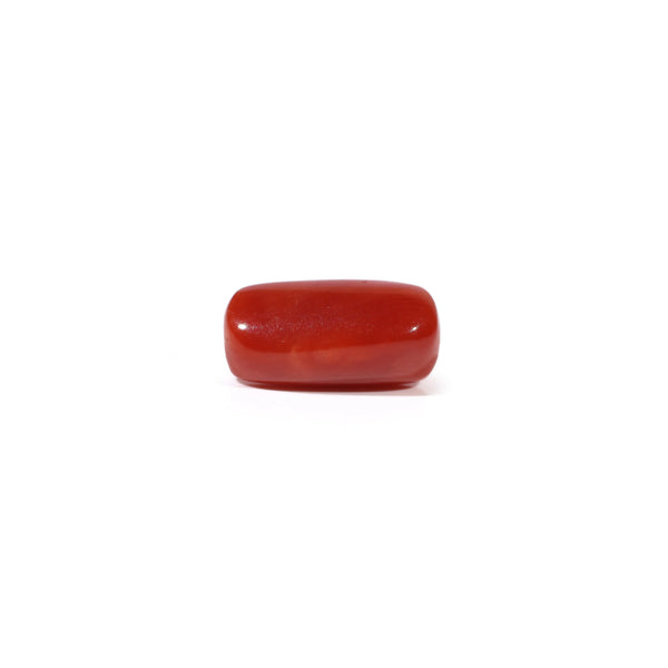 Red Coral - 3.73 Carat