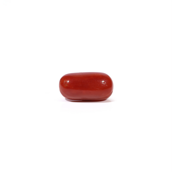 Red Coral - 3.89 Carat - Pramogh