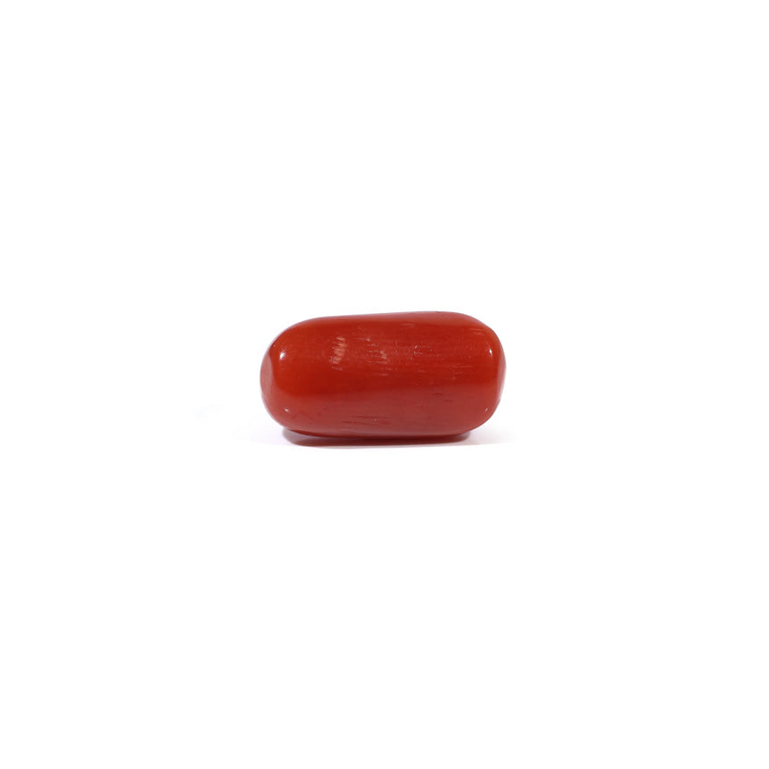 Red Coral - 3.89 Carat