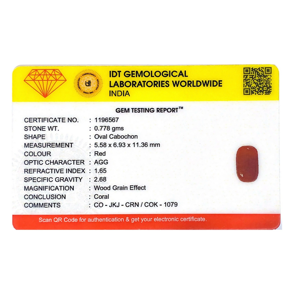 Red Coral - 3.89 Carat