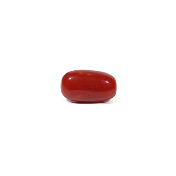 Red Coral - 3.62 Carat - Pramogh