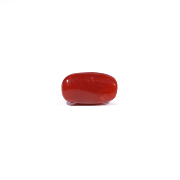 Red Coral - 3.62 Carat