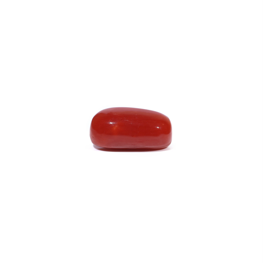 Red Coral - 3.62 Carat