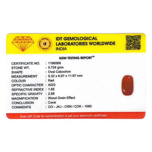 Red Coral - 3.62 Carat