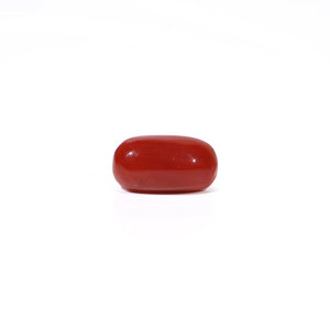 Red Coral - 3.35 Carat - Pramogh