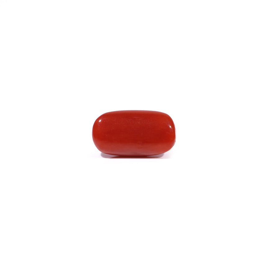 Red Coral - 3.35 Carat