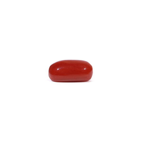 Red Coral - 3.35 Carat