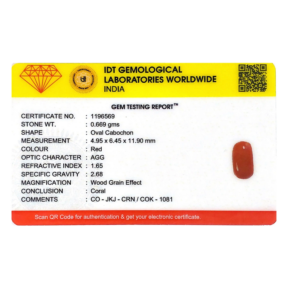 Red Coral - 3.35 Carat