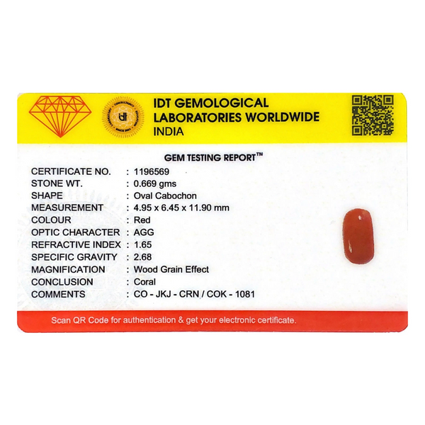 Red Coral - 3.35 Carat