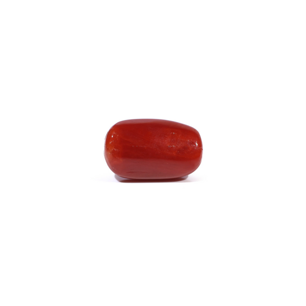 Red Coral - 3.41 Carat