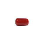 Red Coral - 3.41 Carat