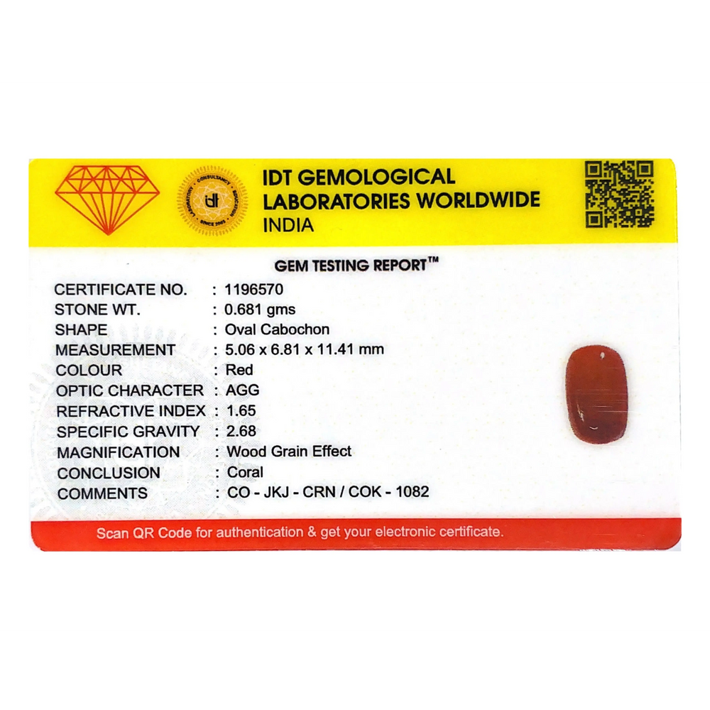 Red Coral - 3.41 Carat